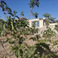 خانه ویلاداخل روستای قز چشم اندازی بی نظیر|فروش خانه و ویلا|سبزوار, کراب|دیوار