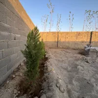 ۲۲۵متر/سهیلیه زعفرامه کردان تهراندشت