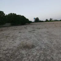 ۵۰۰۰ متر زمین باغی بکه شهریار سند تک برگ