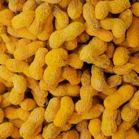 بادام زمینی نمیکی آجیل تخمه وو باقیمت باور نکردنی|خوردنی و آشامیدنی|شاهینشهر, طالقانی|دیوار