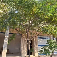 اجاره انباری
