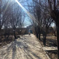 1500مترمربع-باغ-ویلاجنگلی-کاسبی