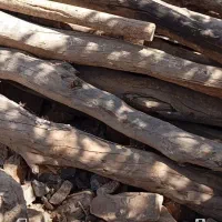 فروش چوب خشک|مصالح و تجهیزات ساختمان|پاوه, |دیوار