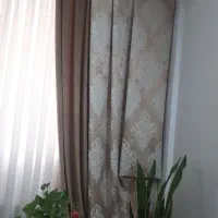 پرده|پرده، رانر، رومیزی|مشهد, کوی المهدی|دیوار