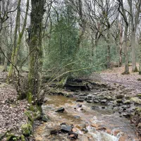 زمین-خوش-جا-و-خوش-قیمت