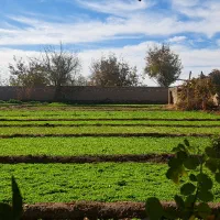 فروش باغ ویلا فول امکانات