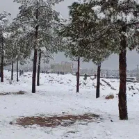 میز ناهار خوری چوبی