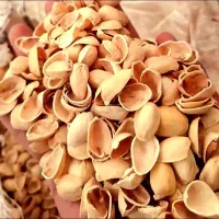 25تن پوست پسته دست شکن درجه یک سوپر آماده بارگیری