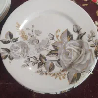 بشقاب|ظروف سرو و پذیرایی|یاسوج, |دیوار