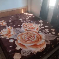 تخت