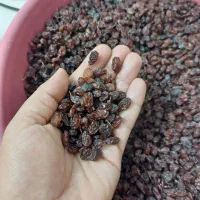 کشمش آفتابی