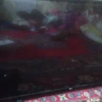 تلویزیون  ال ای دی ۴۳ اینچ ال جی