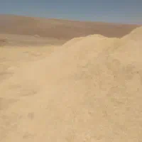 فروش کاه گندم