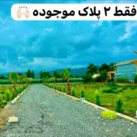 زمین-2تا-پلاک-مانده-همه-فروخته-شده-سندششدانگ