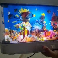 آکواریوم برقی