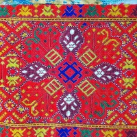 زی استین