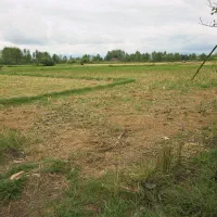 کدپرش/زمین مسکونی+کشاورزی بیجاربرنج۲۱هزارمترسنگر|فروش زمین و ملک کلنگی|کوچصفهان, |دیوار