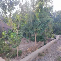 باغ کبودگنبد|فروش خانه و ویلا|پاکدشت, کبودگنبد|دیوار