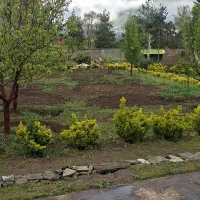 کارگر باغ افغانستانی