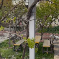 باغچه داخل بافت با نامه جهاد و سند|فروش زمین و ملک کلنگی|شاهدشهر, |دیوار