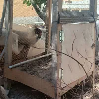 قفس|لوازم جانبی حیوانات|زارچ, |دیوار