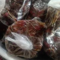 خرمای ابپخش