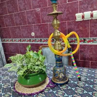 قلیون دو سیب کافه