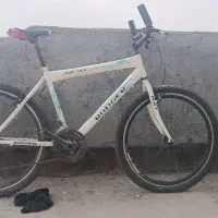 دوچرخه دنده ای