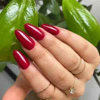 کاشت ناخن قیمت شگفت انگیز