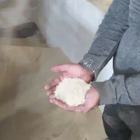 برنج عنبر بو عطری شوشتر