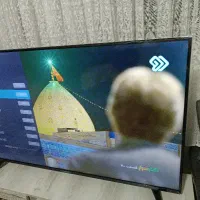 تلویزیون دوو