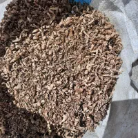 پوشال چوب گردو مخصوص مرغداری،گاوداری،پرنده