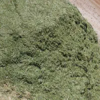 یونجه|حیوانات مزرعه|شیراز, احمدآباد|دیوار