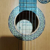 گیتارکلرادوباکاورودفترنت|گیتار، بیس، امپلیفایر|مشهد, شهید قربانی|دیوار