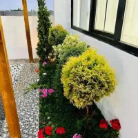 خدمات کلیه باغبانی باغچه کاری هرسکاری گلکاری کاشت|خدمات باغبانی و درختکاری|کرج, فاز ۴ مهرشهر|دیوار