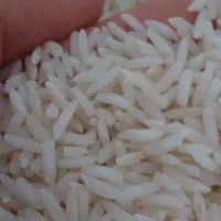 برنج طارم هاشمی فریدونکنار|خوردنی و آشامیدنی|هشتگرد, فاز ۷ مهستان|دیوار