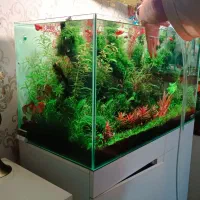 نصب و راه اندازی آکواریوم (صفر تا صد)