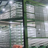 برقکار  برقکاری  24ساعته خورده کاری|خدمات پیشه و مهارت|کاشان, میانچال|دیوار