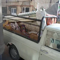 خریدارضایعات اهن ومس کارتن شیرالات وغیره