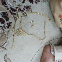 بدلیجات