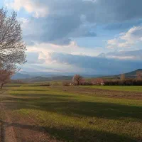 پارکینگ-برای-40-روز