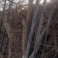 اتاق بار بند پیکان وانت