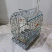 قفس سهره