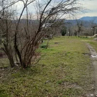 زمین جنگلی باکلنگی ۱۰۰۰م و۵۰۰م سراوان کچا