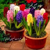 خطهای ثابت منطقه غرب