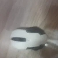 موس بیسم|قطعات و لوازم جانبی رایانه|کاشان, صنعت|دیوار