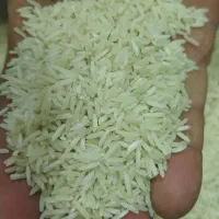 برنج ضیغم
