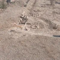 زمین وملک ۱۰۰۰ متری