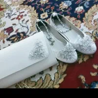 کیف و کفش ست مجلسی و شیک