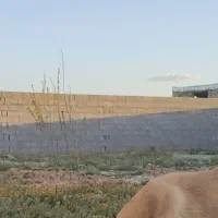 باغ چهار دیواری